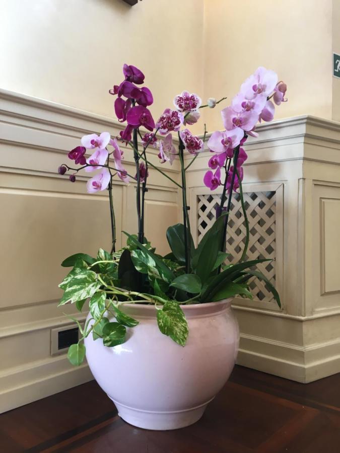 B&B Villino Margherita Rome Bagian luar foto